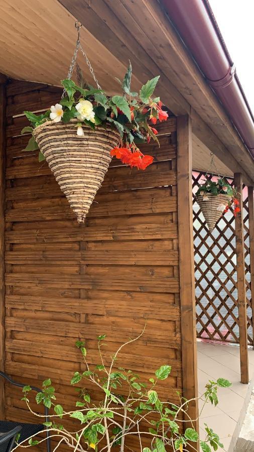 فندق Casa Bucurr Afumaţi المظهر الخارجي الصورة